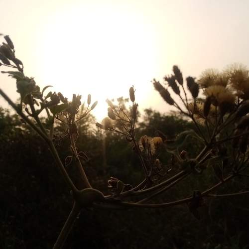 Photo #6467221