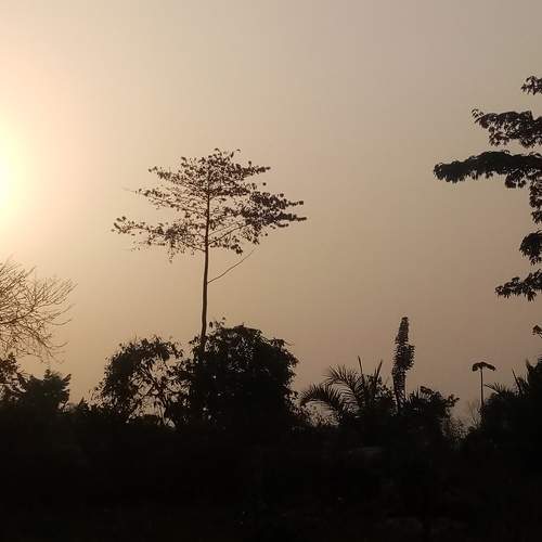 Mobile photoes