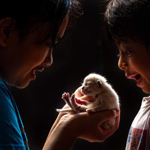 Photo #6467461