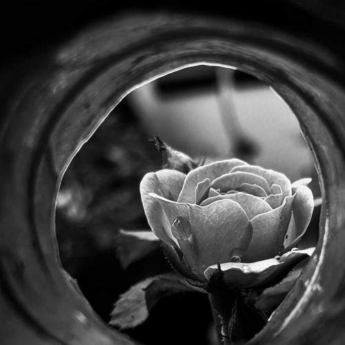 Photo #6467945