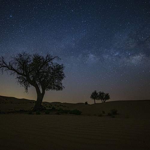 Photo #6467980