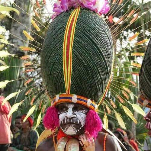 beetle headdress