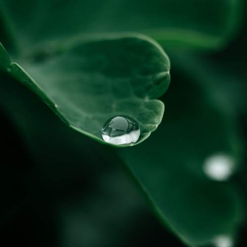 Photo #6468997
