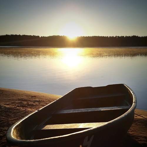 Photo #6469479