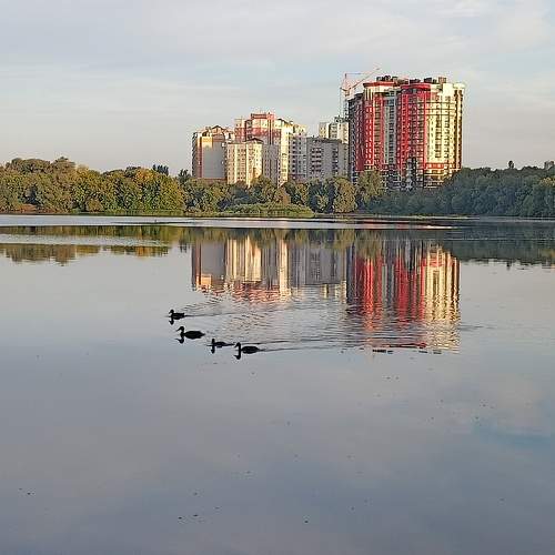 Синхронное плавание