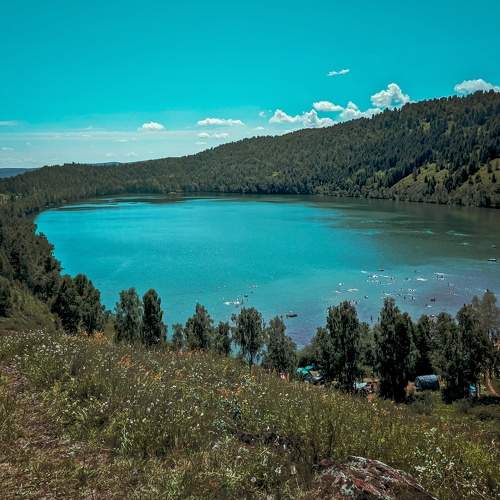 Photo #6469507