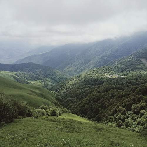 Photo #6469988