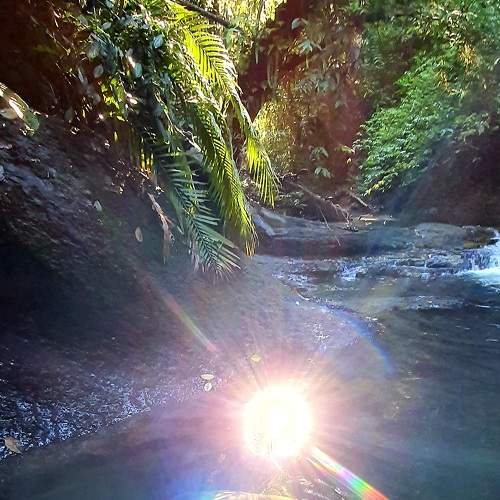 Sources of life