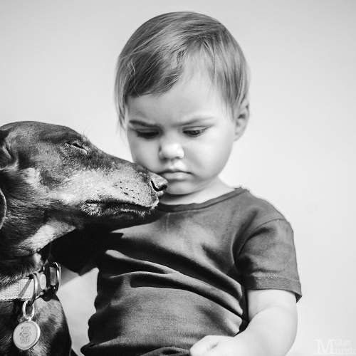 Photo #6470388