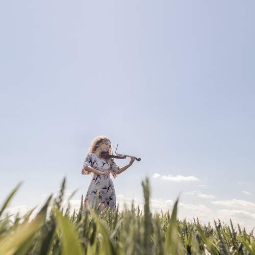 Wheatfield melodies