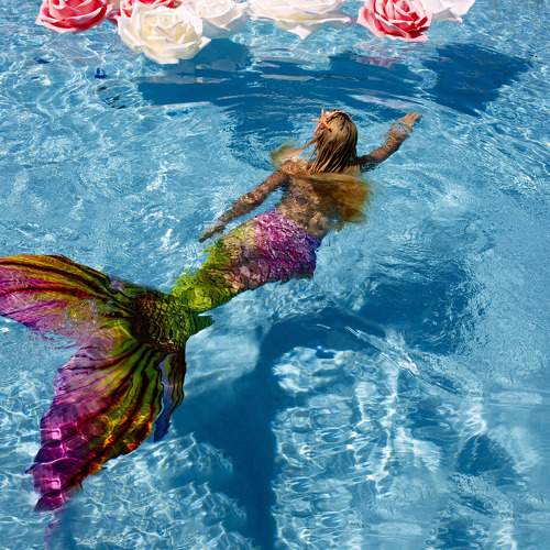 Photo #6470704