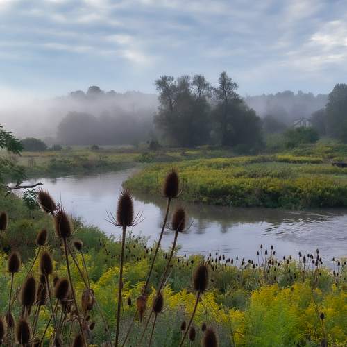Photo #6470847