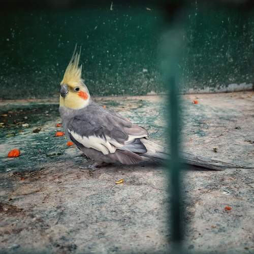 Photo #6470919
