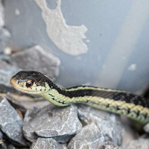 Photo #6470957