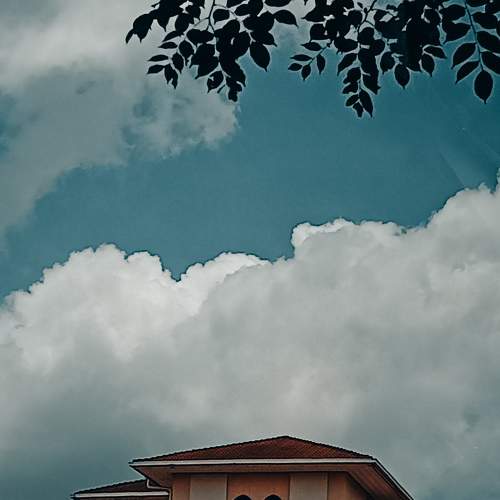 Photo #6470966