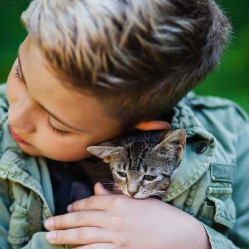 Photo #6470987