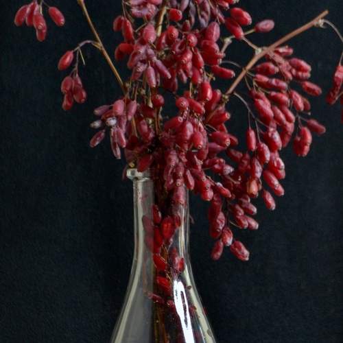 Photo #6471019