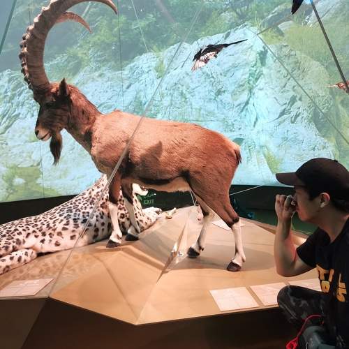 Photo #6471620
