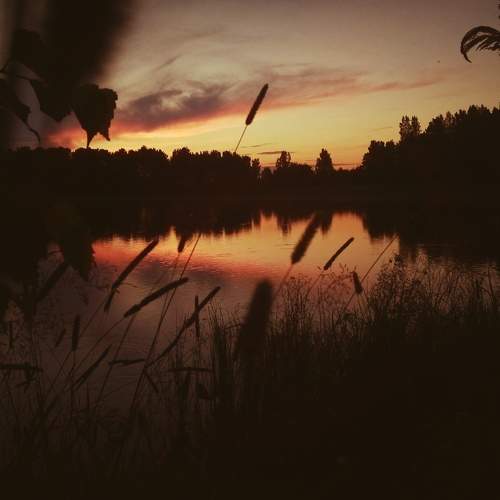 Photo #6471947