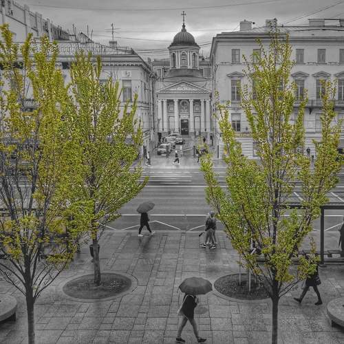 Photo #6472132