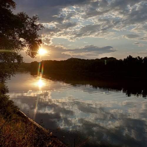 Photo #6472277