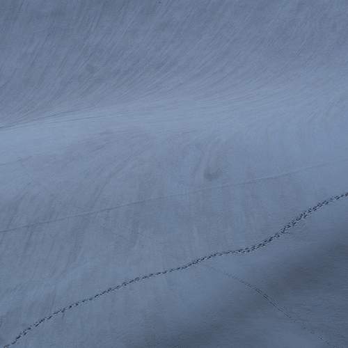 Photo #6472471