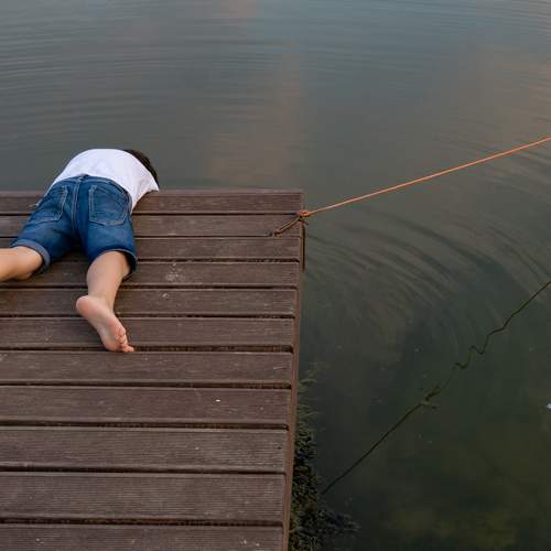 Photo #6472473