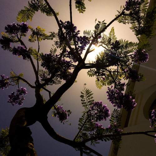 Photo #6472495