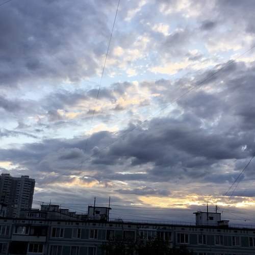 Photo #6472583