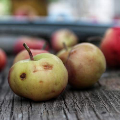 Photo #6472690