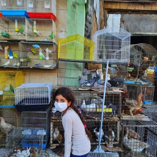 Photo #6473205