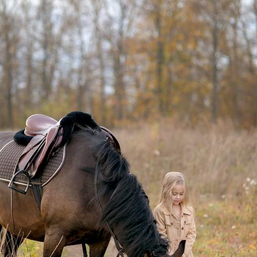 Photo #6473292