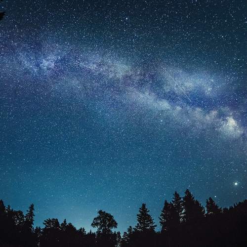 Milky Way Over Tree Lines