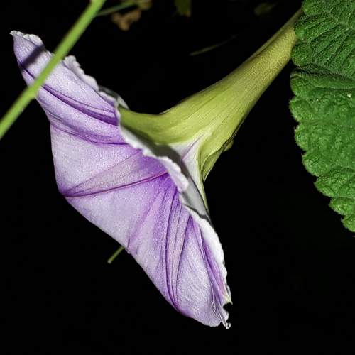 Photo #6473368