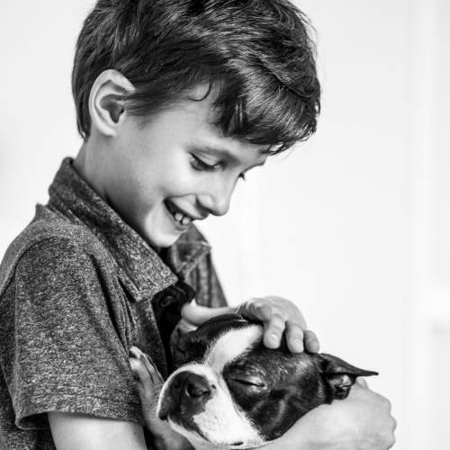 Photo #6473641