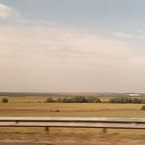 Photo #6473848