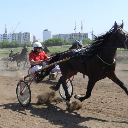 Photo #6473902
