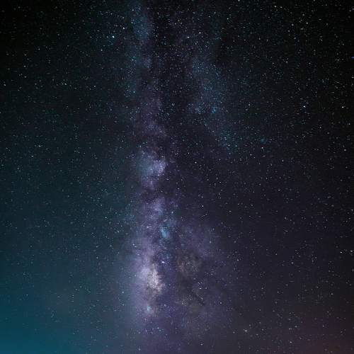 Photo #6474106