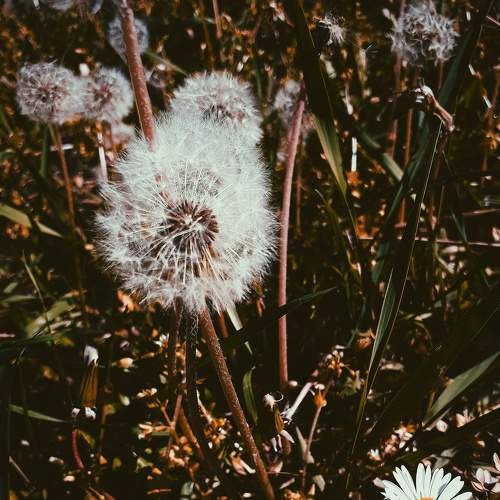 Photo #6474191