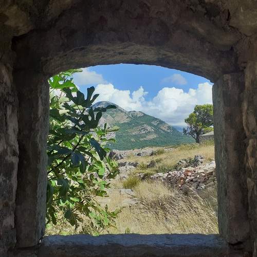 Photo #6474214