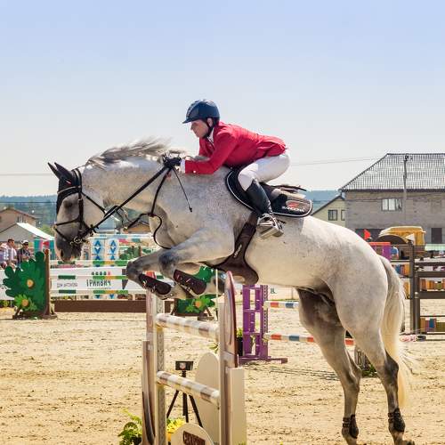 Photo #6475023