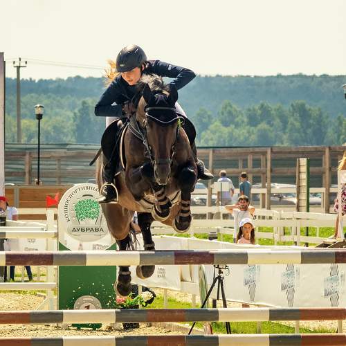 Photo #6475031