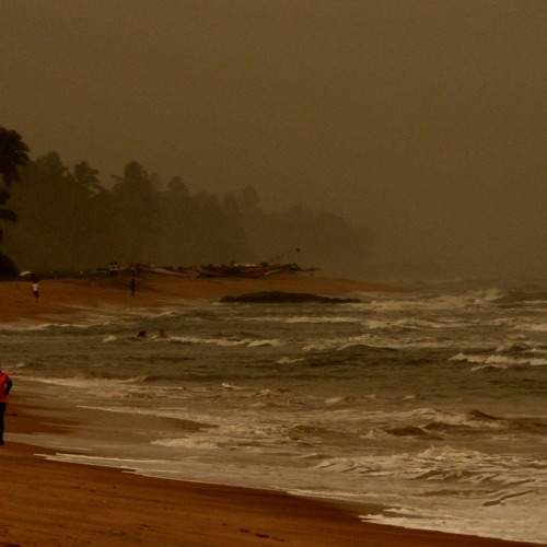 Photo #6475057