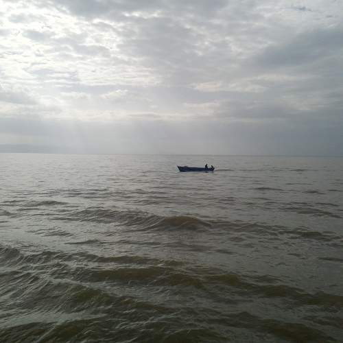 Photo #6475079