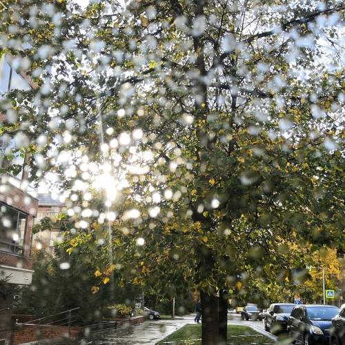 Photo #6475194
