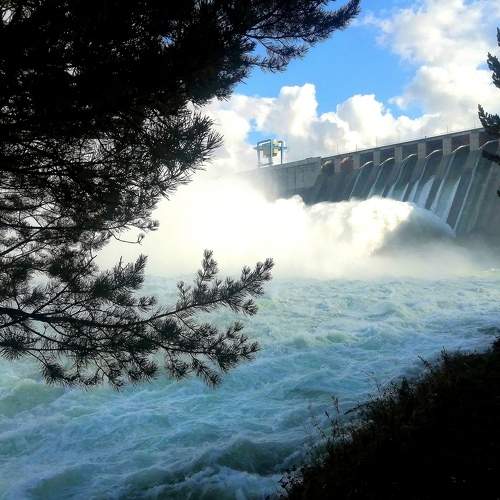 Photo #6475421