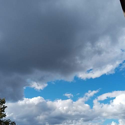 Photo #6476059