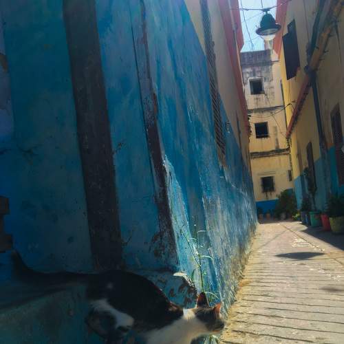 Photo #6476062
