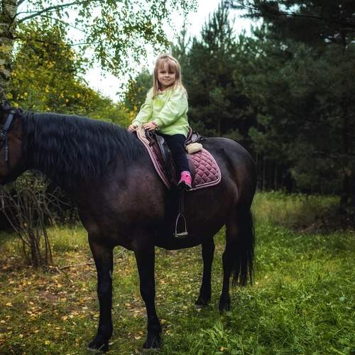 Photo #6476495
