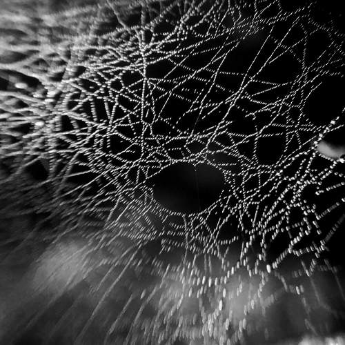 Photo #6476649